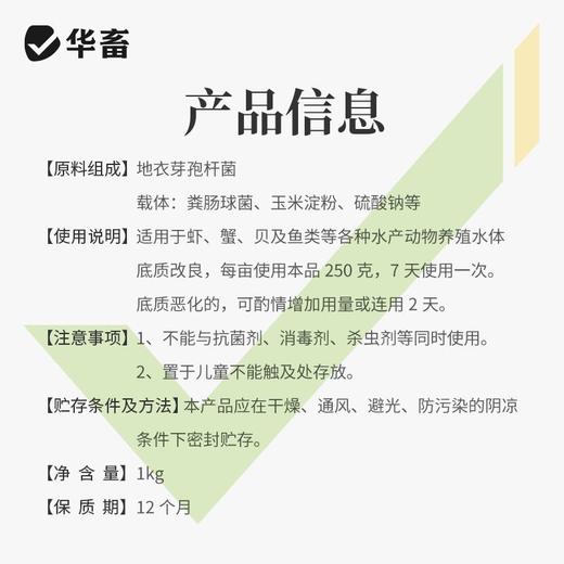 华畜分解底改水产养殖鱼虾蟹塘用调水净水王粪肠球菌生物改底颗粒 商品图6