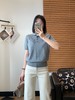 高品LP春夏知识分子针织Polo衫休闲通勤精梳棉短袖T恤 商品缩略图3