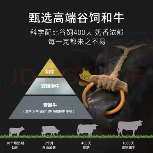 高端定制 澳洲和牛 牛肉饼  只有牛肉的牛肉饼 商品图5