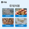 华畜虾大个水产养殖龙虾南美白对虾青沼虾生长催长素增采食虾大壮 商品缩略图1
