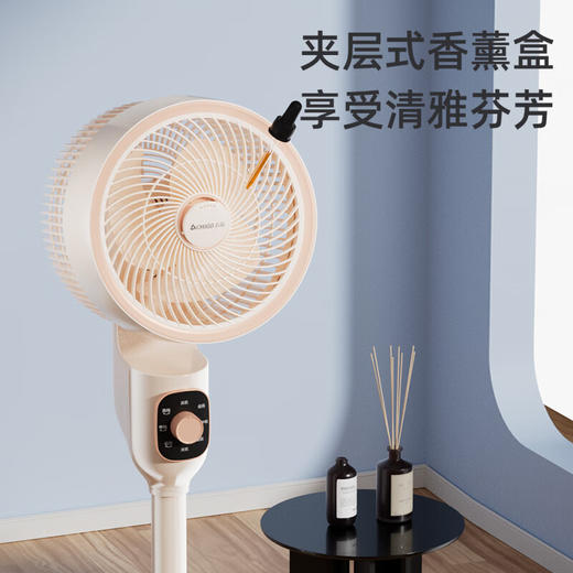 志高循环扇_LS23-C3-1 商品图6