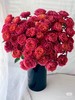 多头玫瑰 | 绝色果汁 商品缩略图0
