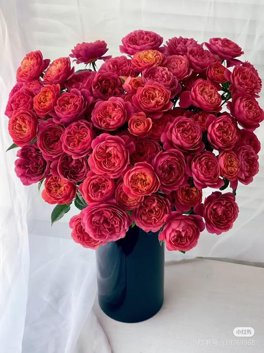 多头玫瑰 | 绝色果汁 商品图0