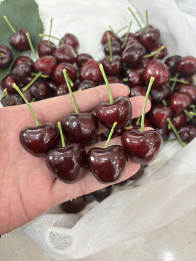 当季美早大樱桃一斤