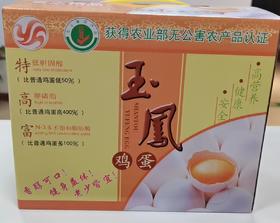 白沙玉凤初生蛋45枚