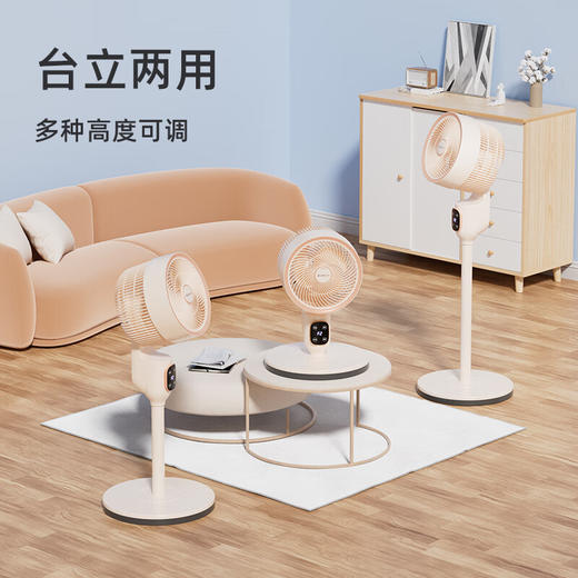 志高循环扇_LS23-C4-1 商品图8