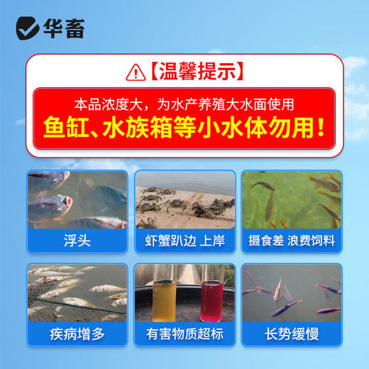 华畜水产增氧片长效水产养殖虾蟹鱼塘增氧颗粒打窝专钓黑坑野钓版 商品图5