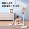 志高循环扇_LS23-C4-1 商品缩略图3