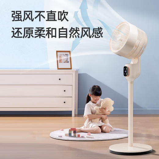 志高循环扇_LS23-C4-1 商品图3