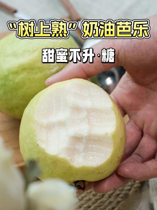 冰淇淋奶油芭乐 低糖低卡路里  2件（净重2.5斤左右/件） 商品图2