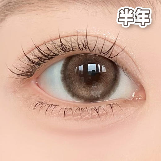 #Bear Brown 姜饼小熊 棕 14.5mm【1片装】舒适推荐 / 半年抛 商品图2