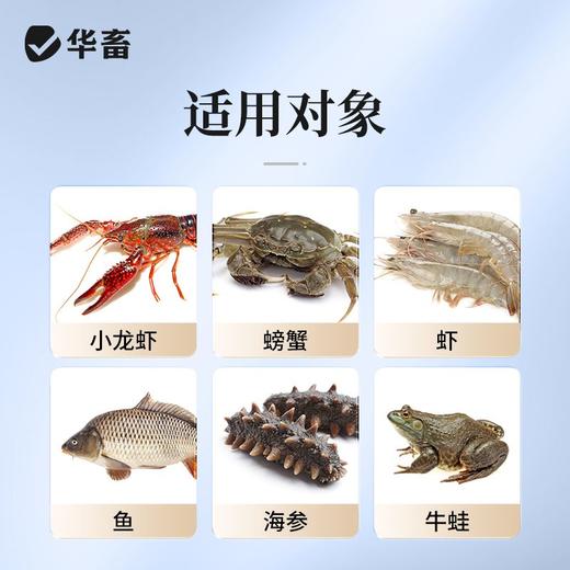 华畜虾蟹促长液鱼虾蟹海参牛蛙诱食开胃水产生长素催长猛长营养液 商品图3
