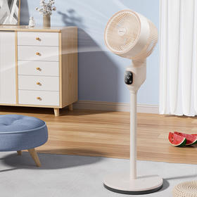 志高循环扇_LS23-C4-1