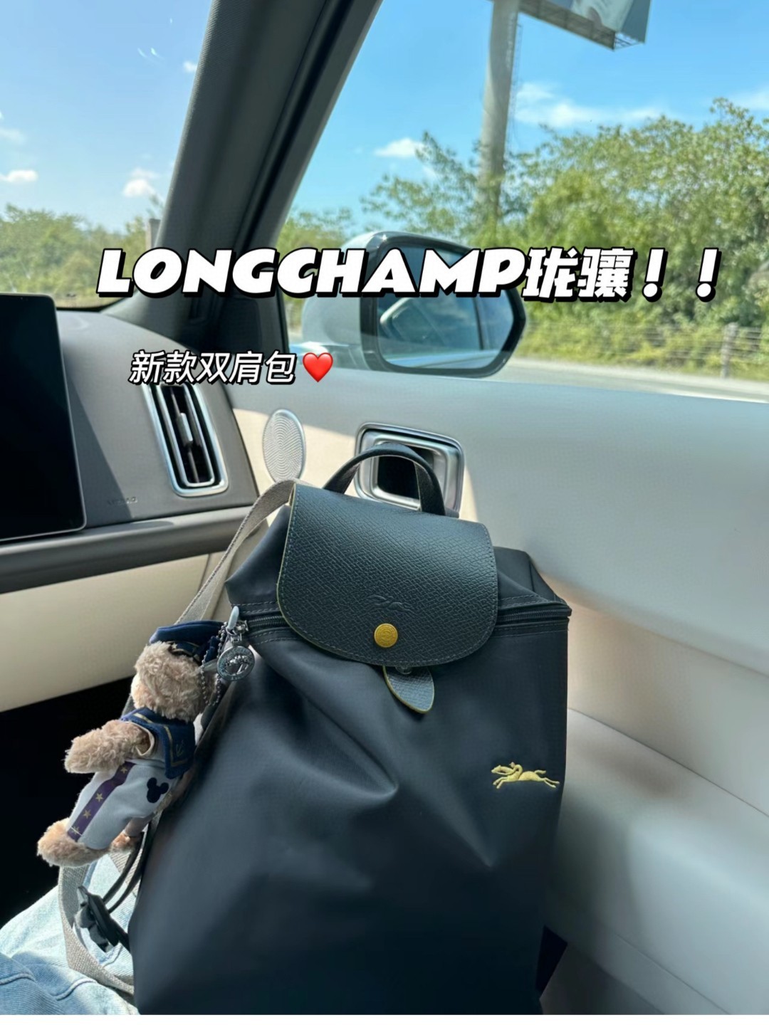 珑骧双肩包经典尼龙大容量妈咪包刺绣背包轻便旅行通勤折叠学生书包