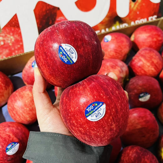 新西兰加力果 脆甜  苹果礼盒  多规格可选 商品图3