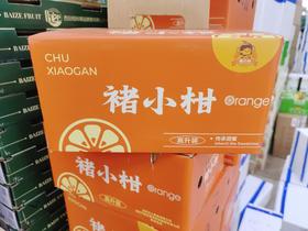 小箱禇小柑一箱