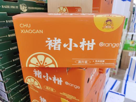 小箱禇小柑一箱 商品图0