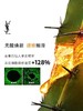 YSL圣罗兰 悦享青春修护焕活精华水（调皮水） 商品缩略图2