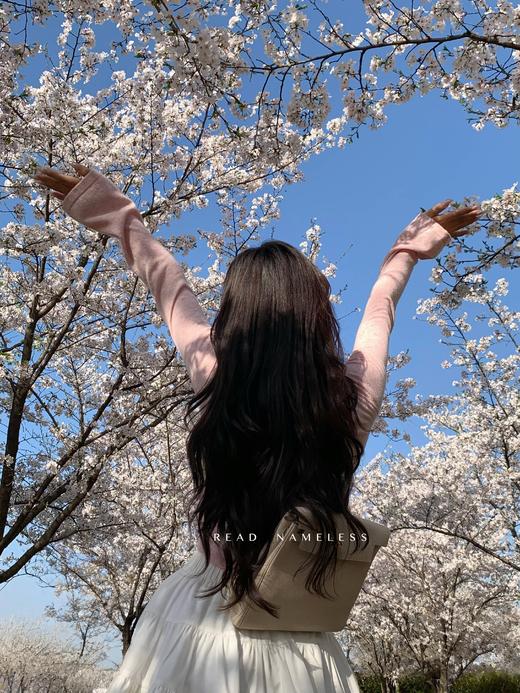 Read Nameless /樱花树下的兔绒粉色上衣 2025/3/31 商品图1