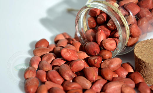 博扬有机花生米 新生红衣花生仁 红皮小粒花生豆450g 商品图1