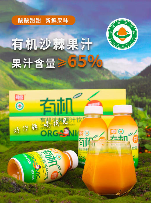 山西吕梁特产待见有机沙棘汁65%原浆浓浆生榨果汁饮料0添加剂 商品图2