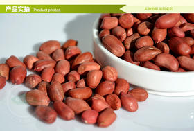 博扬有机花生米 新生红衣花生仁 红皮小粒花生豆450g