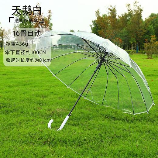 【自动透明雨伞】直杆透明伞，透明环保伞布，视野更宽阔，8骨，16骨稳定伞架结构结实，防水抗风，穹顶鸟笼结构，360°遮挡遇水。半自动开关，轻松开伞，避免撑伞时手臂被淋湿！ 商品图10