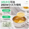 浦利顿婴幼儿五阶段微压电炖锅陶瓷宝宝专用电饭煲BB煮辅食锅PLD-DGD15-15A 商品缩略图2