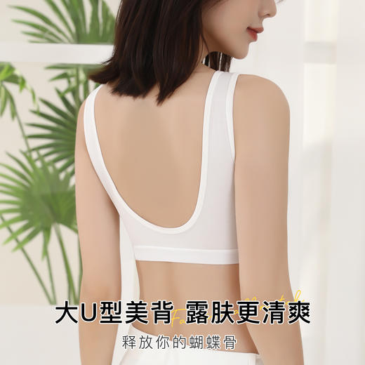 【新疆棉柔软透气】内衣女聚拢舒适无钢圈大包裹收副乳美背文胸罩时光昔颜 商品图3
