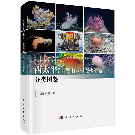 西太平洋海山巨型底栖动物分类图鉴 商品图0