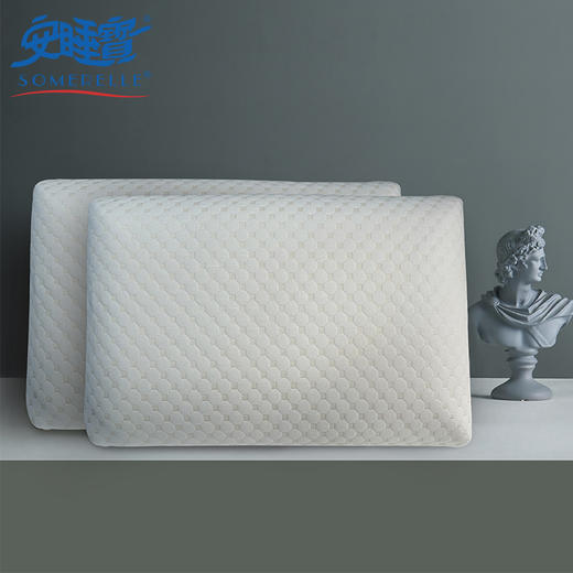 【春上新】10楼 安睡宝 静舒五星级酒店记忆绵枕芯40*70*10cm 吊牌价1199元-2398元 活动价229元/只 399元/对 商品图1