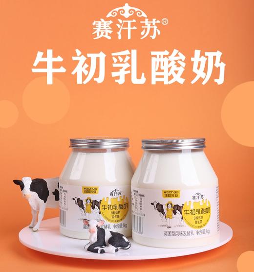【奶皮子老酸奶】天然健康，纯正草原风味！黄金奶源，都是生牛乳浓缩！绵密细腻，奶香浓郁！一罐解锁多种花式吃法！【TJ-J】 商品图4