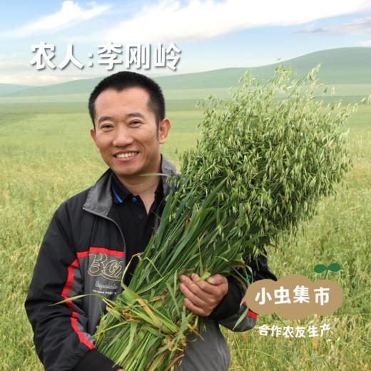 蒙北有机燕麦片 280g/盒 | 合作农友生产，产自内蒙古乌拉盖草原，生产者：李刚岭 &【公平贸易农人定价】 商品图7