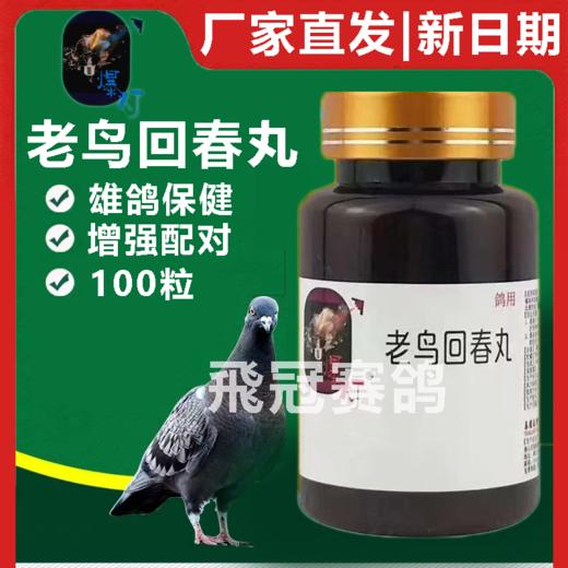 【老鸟回春丸】辅助和刺激公鸽雄鸽生育性能（爆灯） 商品图0