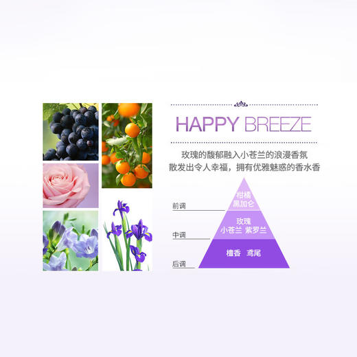 安宝笛快乐微风香水沐浴露500g 商品图4