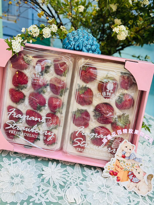 喵菓美莓🍓黑草莓桃乐丝（一盒11-15粒） 商品图0