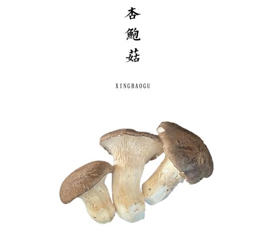 合作 | 杏鲍菇300g 商品图0