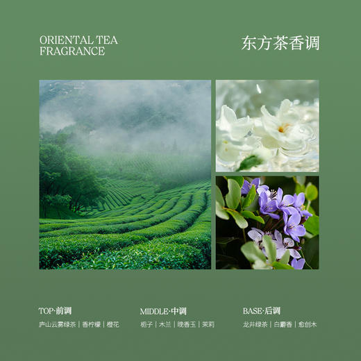 寻遇 春水煎茶香水 商品图0