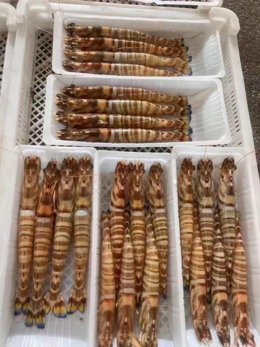 & 人气爆款👉深海大斑节虾🦐，虾青素的含量贼高，送礼可礼盒打包✅活冻鲜发 商品图1
