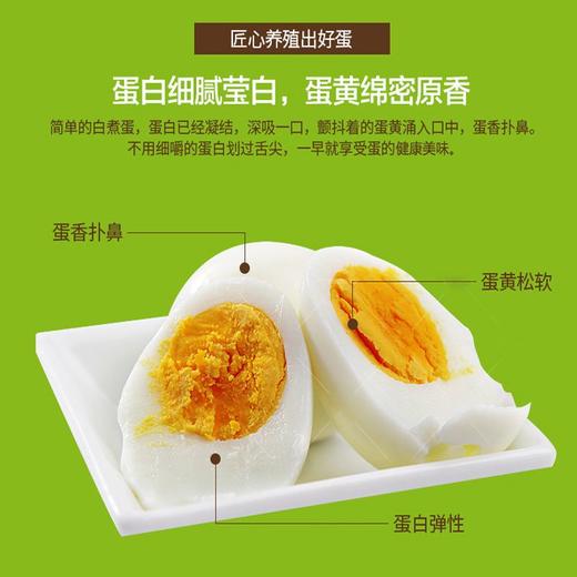 【稻沁】富硒鸡蛋 30枚 商品图2