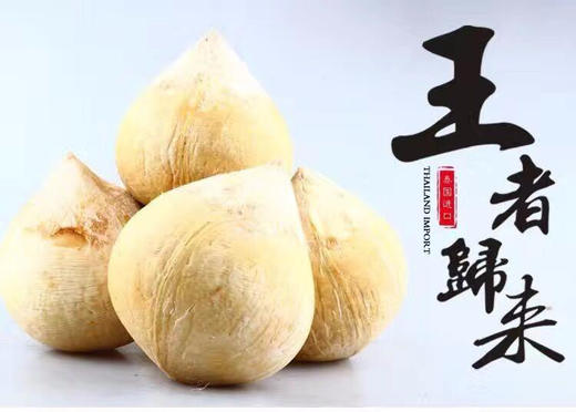泰国椰皇 一箱9个 商品图7