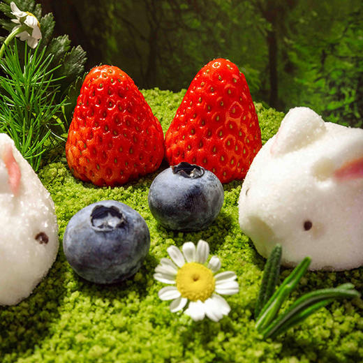 【春田兔兔】草莓希腊酸奶 | 旋木烘焙 商品图2