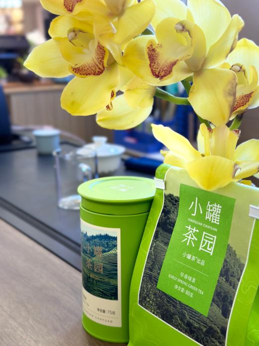 小罐茶园早春绿茶/80克 商品图1