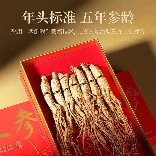 杞里香东北长白山人参50g、人参礼盒100g7支装]人参非一等参高档泡酒林下山参年礼整参供货，每一支都来之不易 商品图3