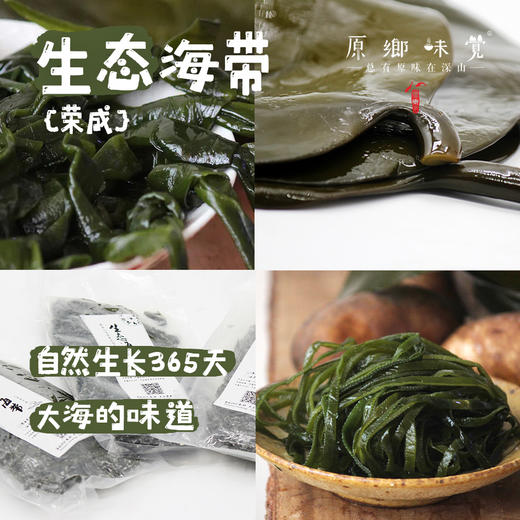 荣成生态盐渍海带（基地直发-顺丰包邮） |250g*4装，来自山东威海，生产者：蔡殿双【合作生产，公平贸易】 商品图0