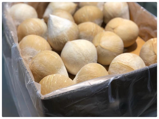 泰国椰皇 一箱9个 商品图6