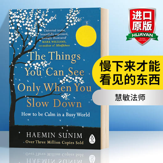 The Things You Can See Only When You Slow Do 英文原版 慢下来才能看见的东西 全英文版 商品图0