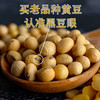 【食品】云南本地黄豆正宗老品种黄豆非转基因更健康500克/袋真空包装 商品缩略图2