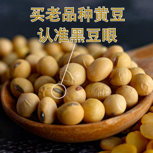 【食品】云南本地黄豆正宗老品种黄豆非转基因更健康500克/袋真空包装 商品图2