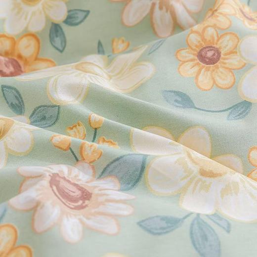 【春上新】10楼恐龙 全棉印花四件套 春不晚 200*230cm   吊牌价1680元    活动价399元 商品图2